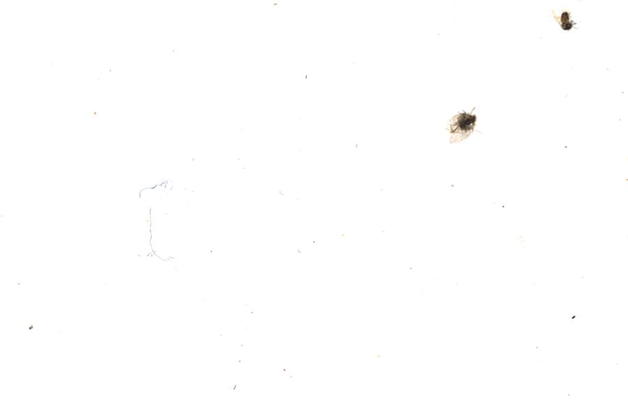 Image 62